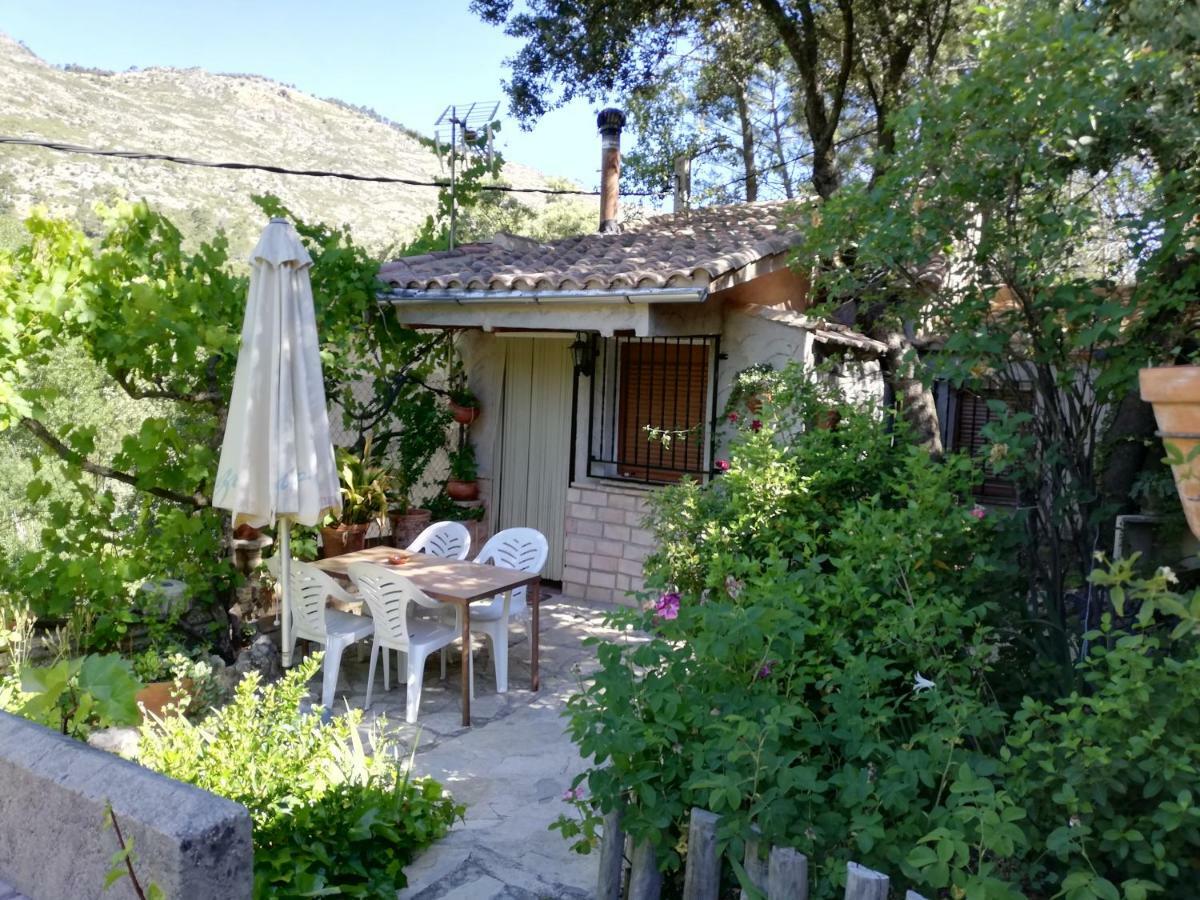 Alojamientos Rurales Vado Ancho La Encina 아로요프리오 외부 사진