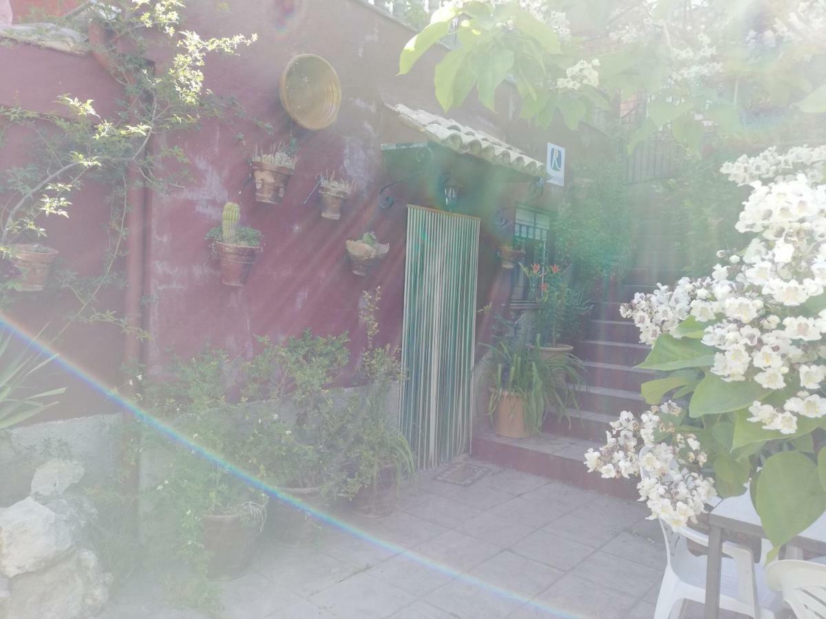 Alojamientos Rurales Vado Ancho La Encina 아로요프리오 외부 사진